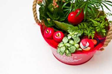 Kırmızı kova beyaz izole Tasarımcı çiçekçi kompozisyon