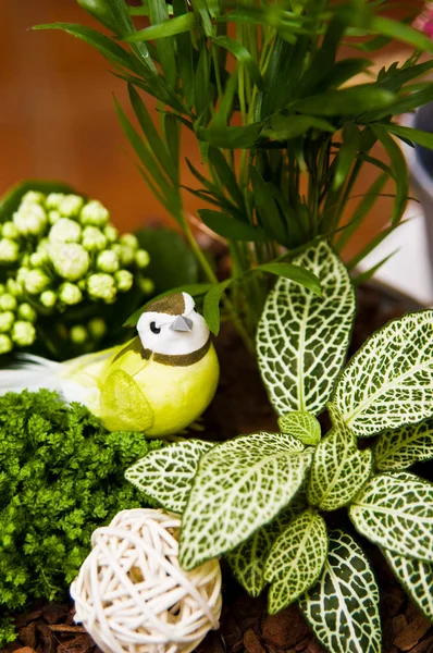 Kamerplanten decoratie met een leuke speelgoed vogel — Stockfoto