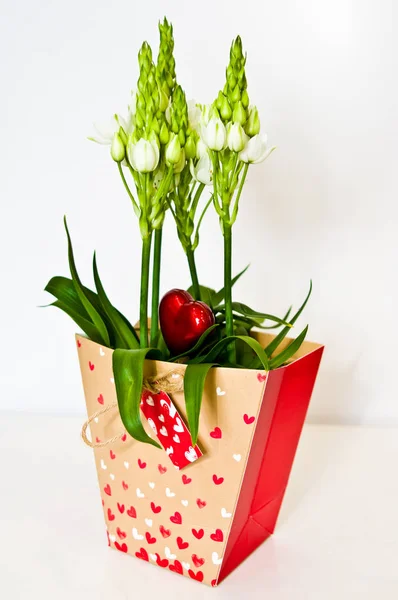 Friss tavaszi virágok karton díszdobozban fehér — Stock Fotó