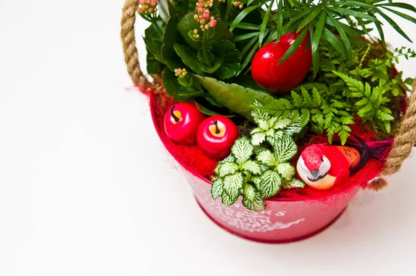 Kırmızı kova beyaz izole Tasarımcı çiçekçi kompozisyon