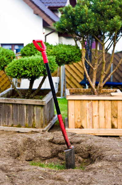 Home garden landscaping, planting new decorative trees in house 