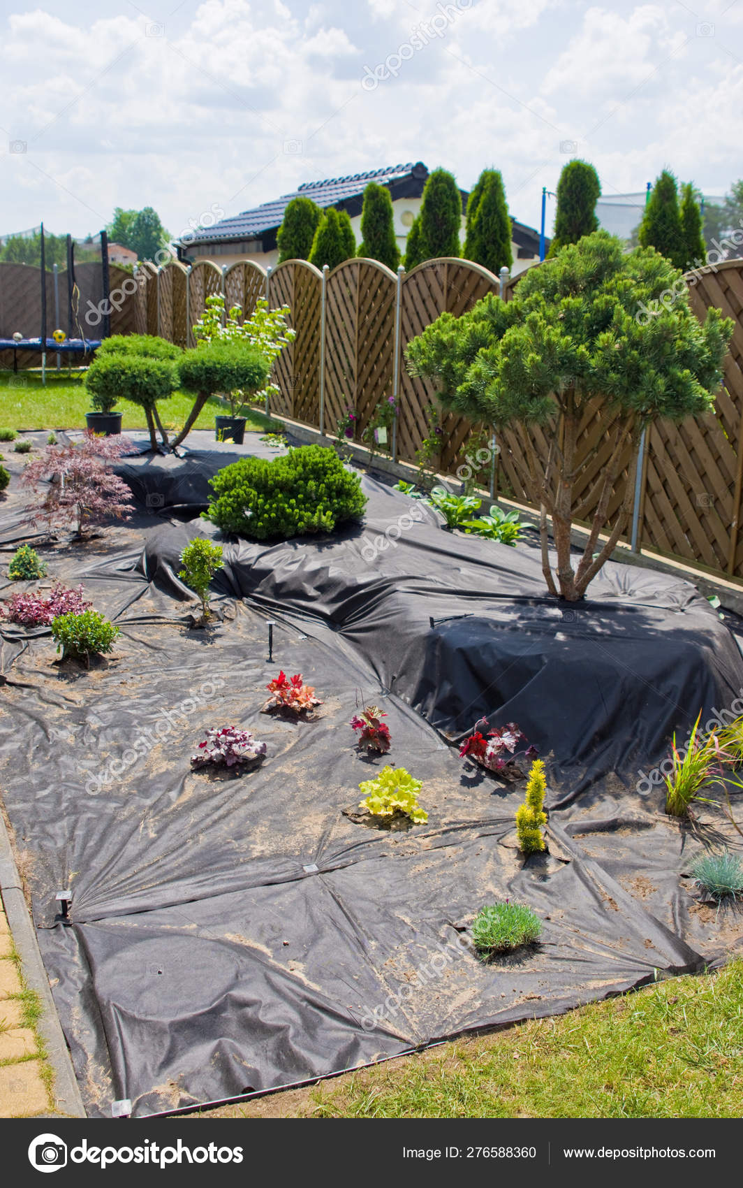 Making New Home Garden Decorations Planting Evergreen Trees And Stock Photo C Ahatmaker 276588360