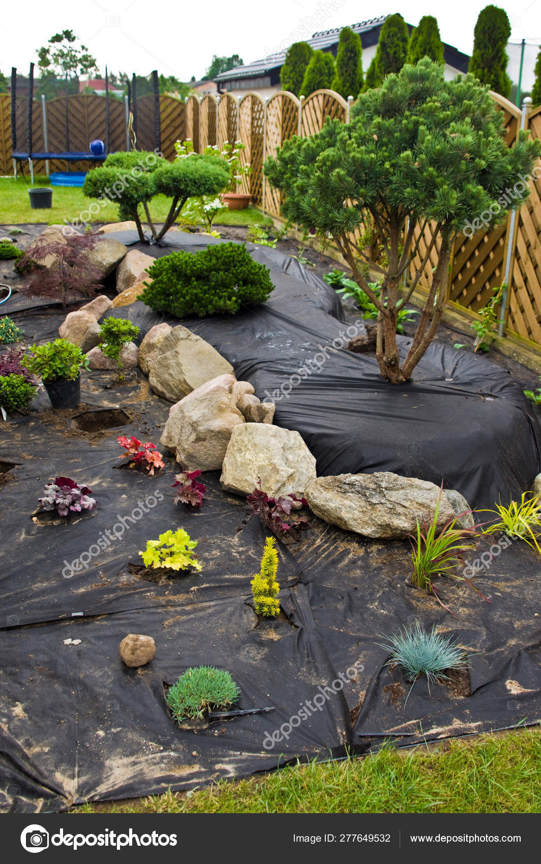 Making New Home Garden Decorations Planting Evergreen Trees And