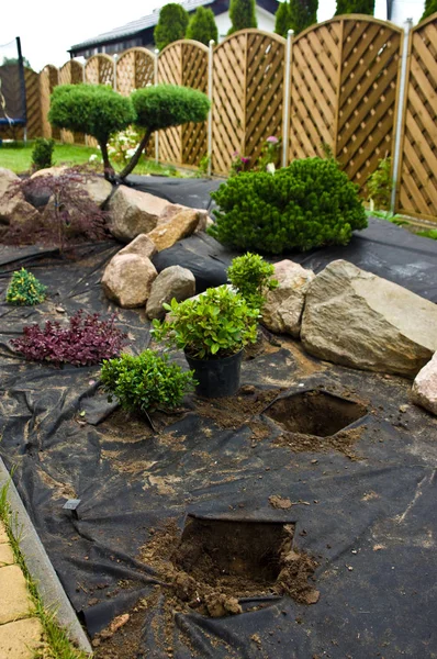 Fare nuove decorazioni giardino di casa, piantare alberi sempreverdi e — Foto Stock