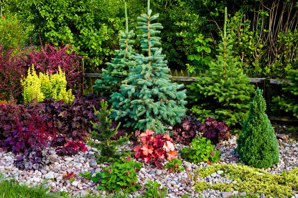 Jardim ornamental colorido com plantas de folhagem vibrantes e árvores — Fotografia de Stock