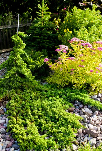 Colorato giardino ornamentale con vibranti piante fogliari e alberi — Foto Stock