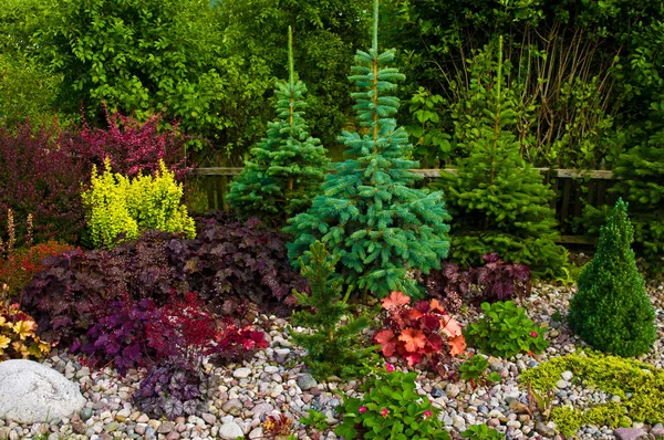 Барвистий декоративний сад з яскравим листям рослин і дерев — стокове фото