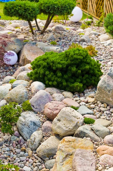 制作新的家庭花园装饰，种植常绿树和 — 图库照片