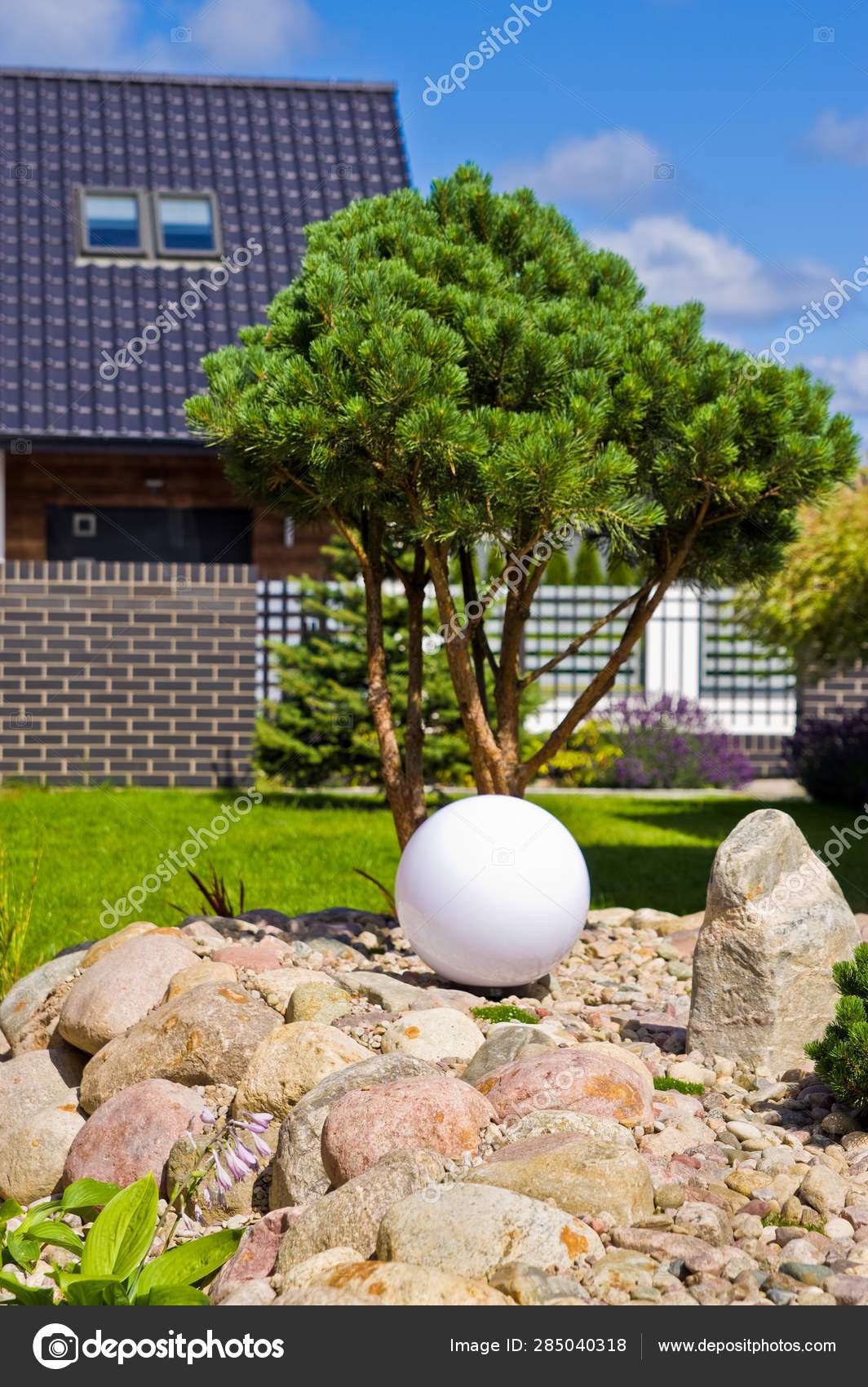 Making New Home Garden Decorations Planting Evergreen Trees And