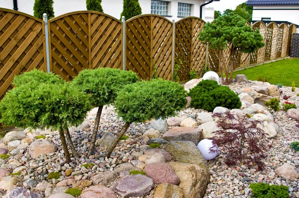 Fare nuove decorazioni giardino di casa, piantare alberi sempreverdi e — Foto Stock