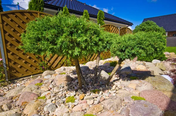 Het maken van nieuwe huis tuin decoraties, het planten van groenblijvende bomen en — Stockfoto