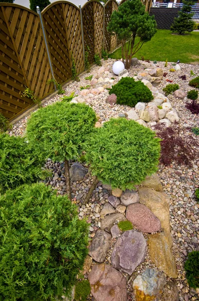 Het maken van nieuwe huis tuin decoraties, het planten van groenblijvende bomen en — Stockfoto