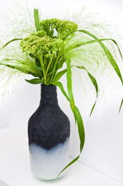 Modern Onyx vazo bir raf yeşil çim ve alan çiçekler.