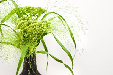 Modern Onyx vazo bir raf yeşil çim ve alan çiçekler.