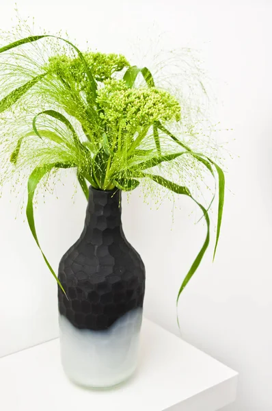 Modern Onyx vazo bir raf yeşil çim ve alan çiçekler.