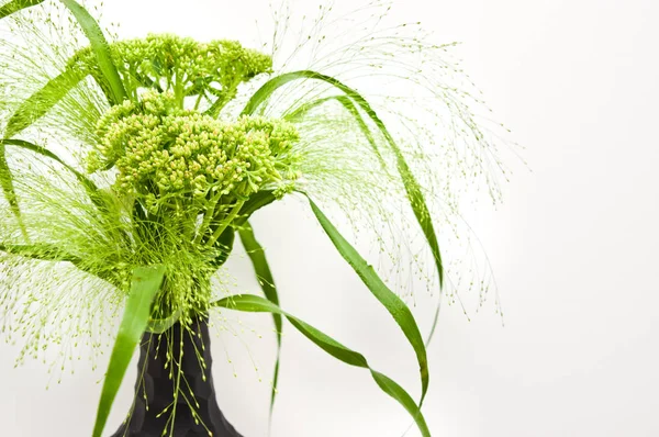 Modern Onyx vazo bir raf yeşil çim ve alan çiçekler.