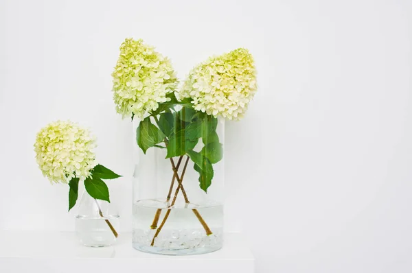 Yellow hydrangea flowers or twigs in a glass vase on a shelf — Stock Photo, Image