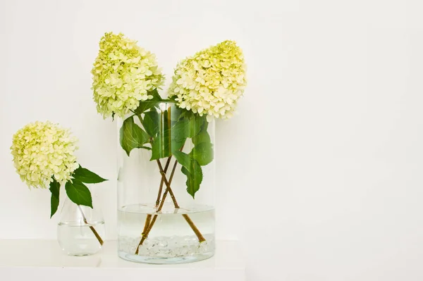 Yellow hydrangea flowers or twigs in a glass vase on a shelf — Stock Photo, Image