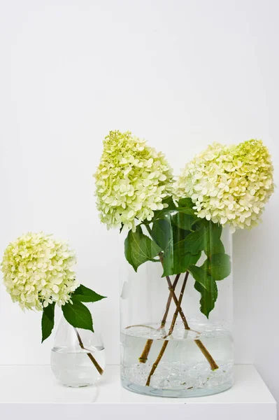 Flores o ramitas de hortensias amarillas en un jarrón de vidrio en un estante — Foto de Stock