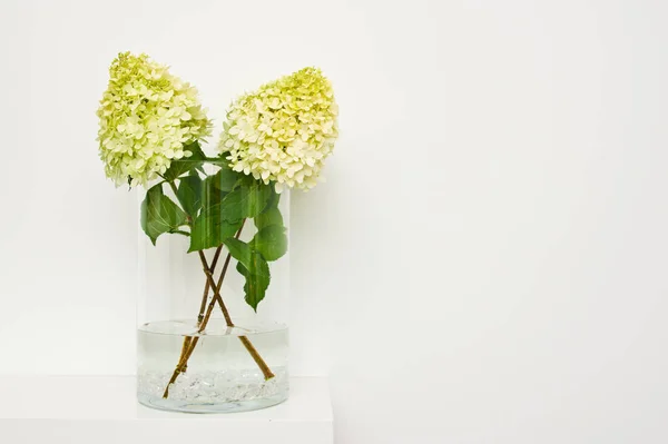 Yellow hydrangea flowers or twigs in a glass vase on a shelf — Stock Photo, Image