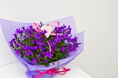 Beyaz arka planda izole edilmiş kağıt ve kurdeleye sarılı güzel bir demet menekşe..