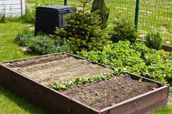 Caixa Cama Vegetal Madeira Com Solo Compostor Jardim Casa Conceito — Fotografia de Stock