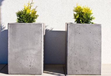Modern beton saksıları bir evin ön verandasında. Dikdörtgen prizma ya da genç thuja bitkisiyle küboid şekil. 