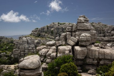 El Torcal Andalusien Blauer Himmel baum wolke