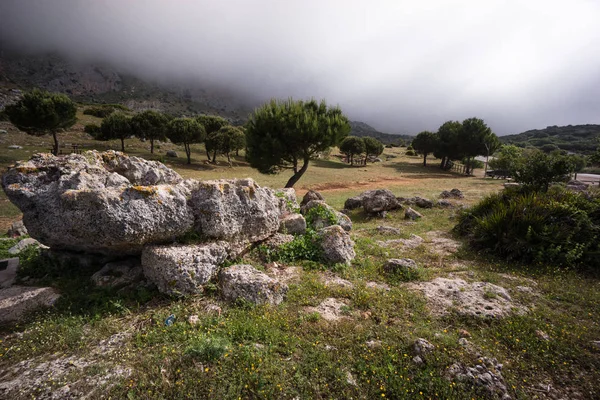Olivenbaum Andalusien Auf Berg — Stock fotografie