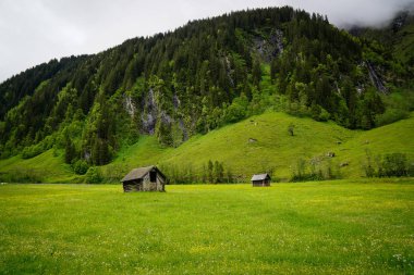 Avusturya Alpleri küçük Avusturya Alpleri'nde nedir