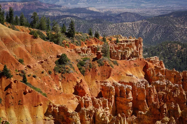 Gündüz Güneş Utah Abd Bryce Canyon — Stok fotoğraf