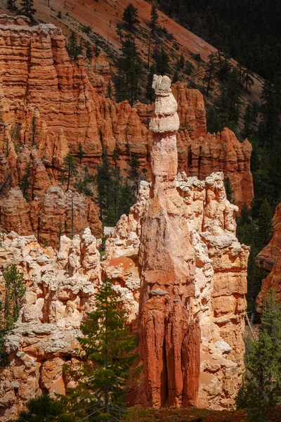 Gündüz Güneş Bryce Canyon Abd Utah — Stok fotoğraf