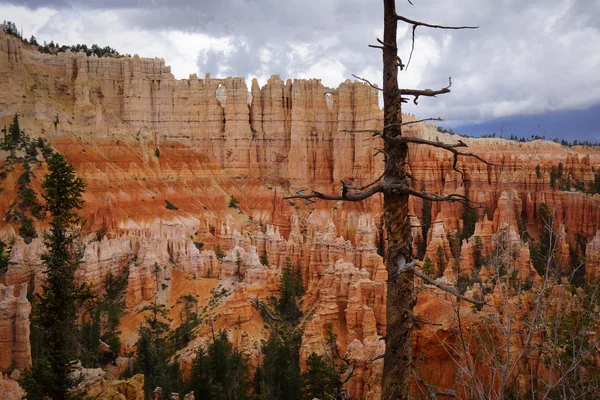 Bryce Nappali Canyon Utah Amerikai Egyesült Államok — Stock Fotó