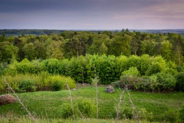 yeşil çayır orman ve alan günbatımı Almanya ile