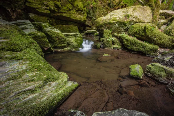 Cascada Agua Corriente Bosque Negro Alemania —  Fotos de Stock