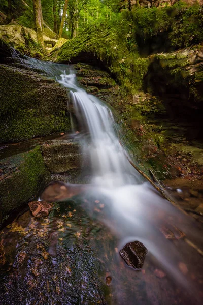 Waterfall Water Stream Black Forest Germany — Stock Photo, Image