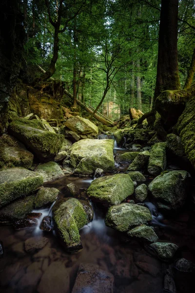 德国黑森林中的瀑布水流 — 图库照片