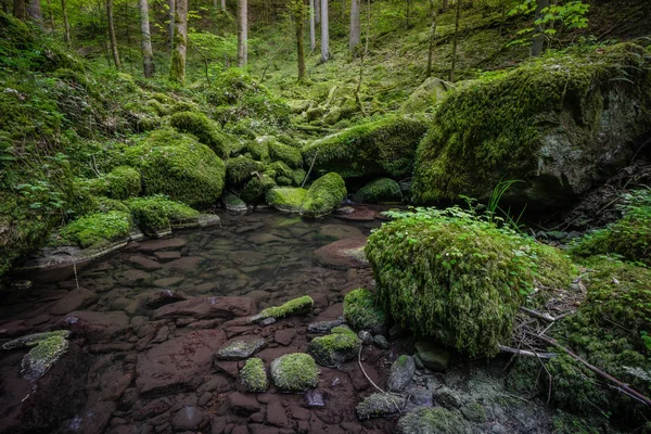 Cascada Agua Corriente Bosque Negro Alemania —  Fotos de Stock
