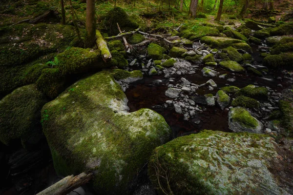 Cascada Agua Corriente Bosque Negro Alemania —  Fotos de Stock