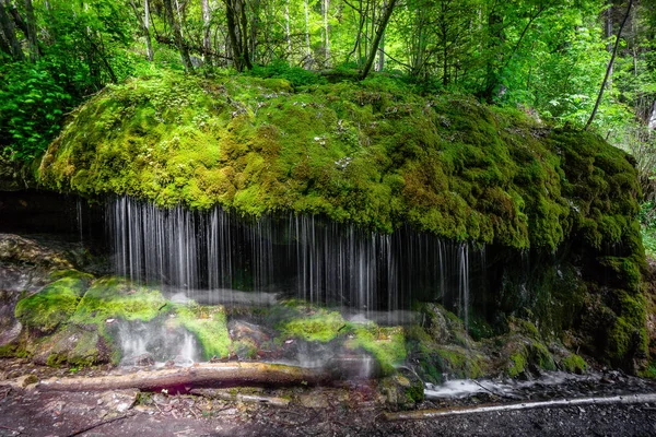 Водяной Поток Мох Водопад Лесной Пейзаж Весной Германия — стоковое фото