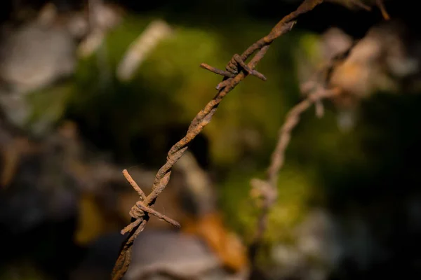 アルザス山 Vogesen 世界戦争 つ記念遺跡フランス — ストック写真