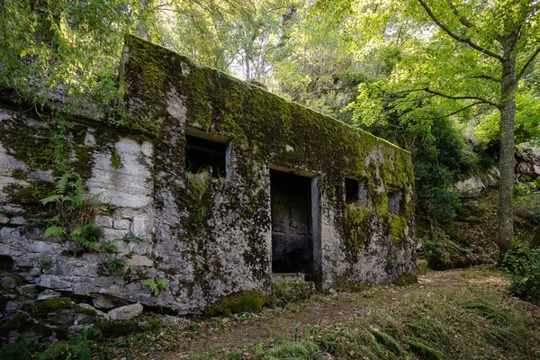 Alsacia Montaña Vogesen Una Guerra Mundial Ruinas Conmemorativas Francia —  Fotos de Stock