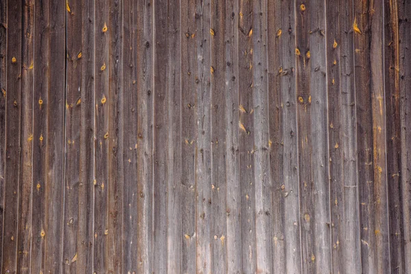 德国木板结构木材纹理复古背景 — 图库照片