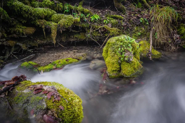 Alemania Cascada Corriente Agua Con Hielo Heladas —  Fotos de Stock