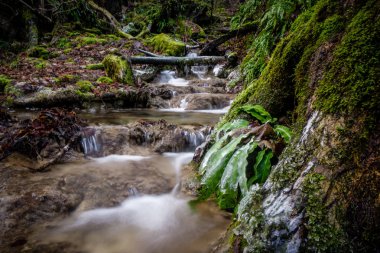 Almanya şelale su akışı buz ve buz ile