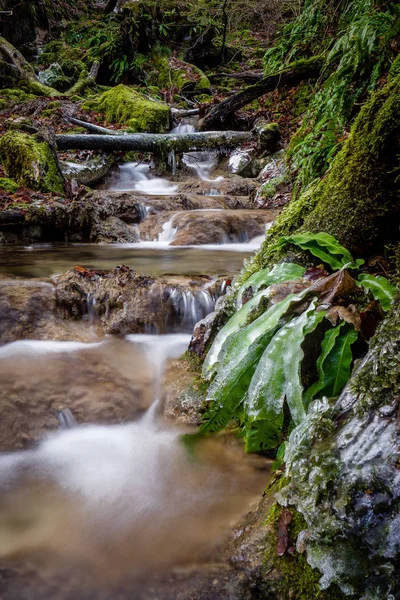 Alemania Cascada Corriente Agua Con Hielo Heladas —  Fotos de Stock