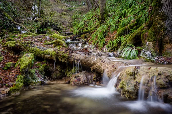 Alemania Cascada Corriente Agua Con Hielo Heladas —  Fotos de Stock