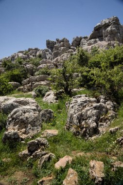 İspanya Endülüs seyahat El Torcal Antequera Milli Parkı Malaga