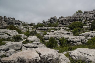 İspanya Endülüs seyahat El Torcal Antequera Milli Parkı Malaga