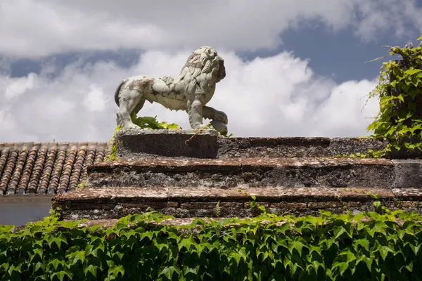 Hiszpania Andaluzja Ogród Botaniczny Alhambra — Zdjęcie stockowe